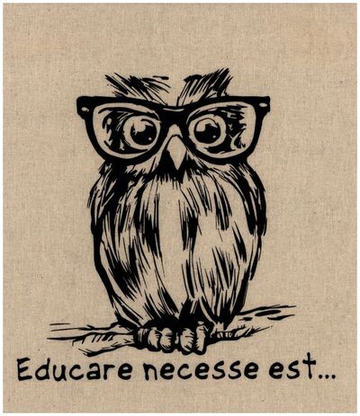 Plakat konferencji „Educare necesse est…”