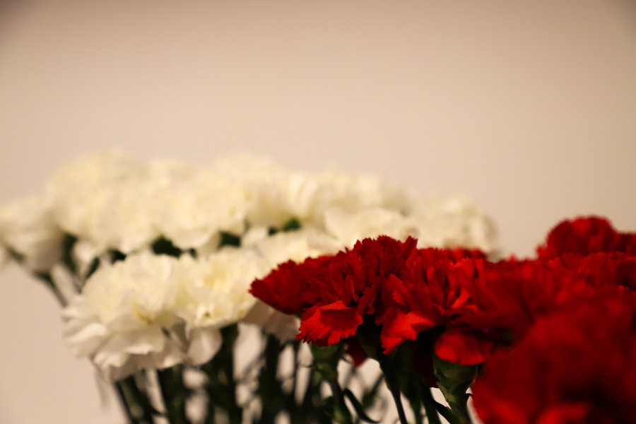 Uroczystość wręczenia działaczom opozycji antykomunistycznej Krzyży Wolności i Solidarności oraz Medali Reipublicae Memoriae Meritum – 12 września 2024, fot. Paula Prudziłowicz (IPN)