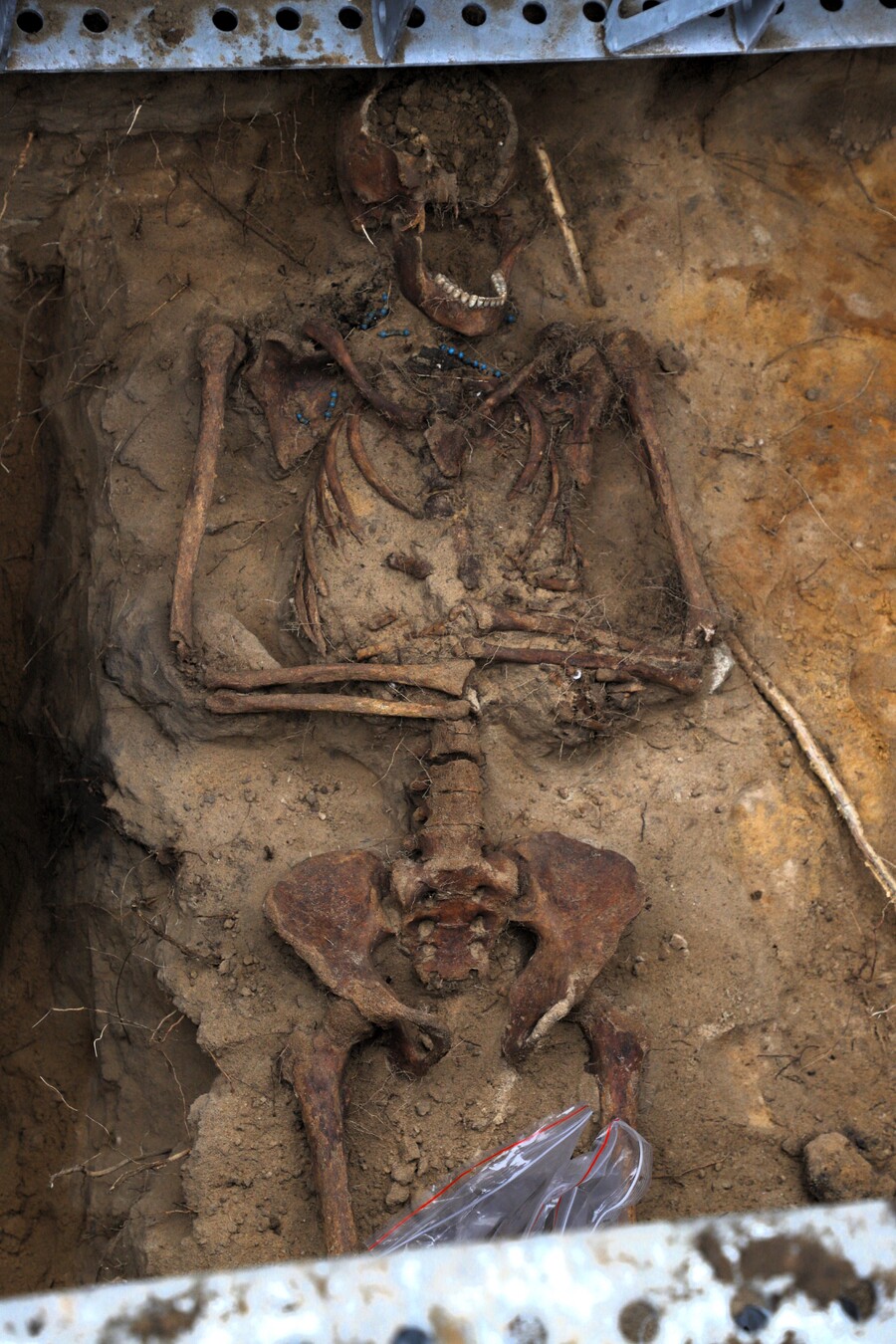 Prace poszukiwawcze na terenie cmentarza wojskowego przy ul. 11 Listopada w Białymstoku – 12-15 listopada, fot. Iwona Kolasińska (IPN)