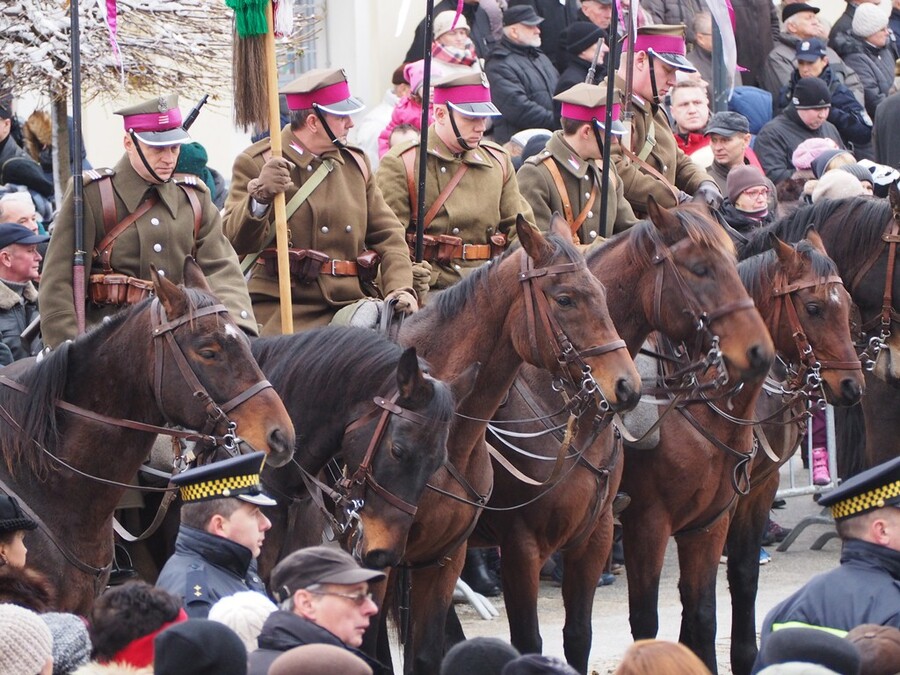 Wojewódzkie obchody Narodowego Święta Niepodległości