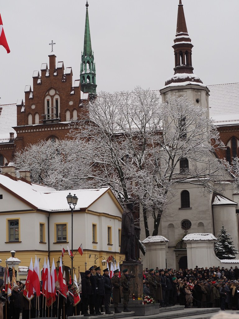 Wojewódzkie obchody Narodowego Święta Niepodległości