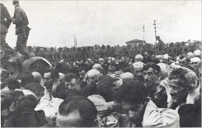 Białostoccy Żydzi podczas likwidacji getta. Zdjęcia wykonane przez niemieckiego żołnierza pomiędzy 15 a 20 sierpnia 1943 r. (domena publiczna)